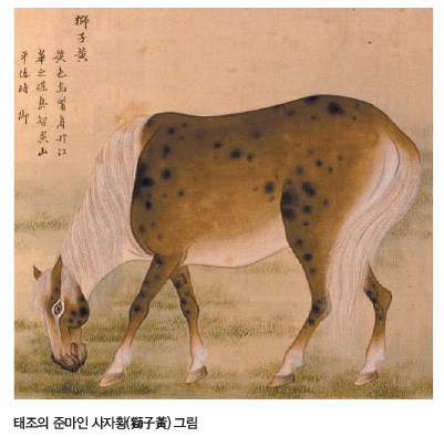 태조의 준마인 사자황(獅子黃) 그림