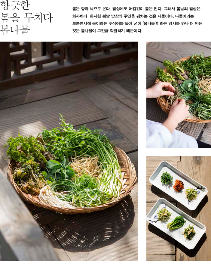 향긋한 봄을 무치다