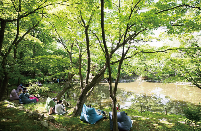 심쿵쉼궁5